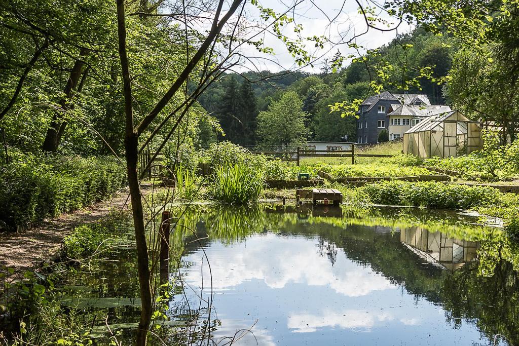 Φωτογραφία από το άλμπουμ του Landgasthof Hierenmühle σε Ney