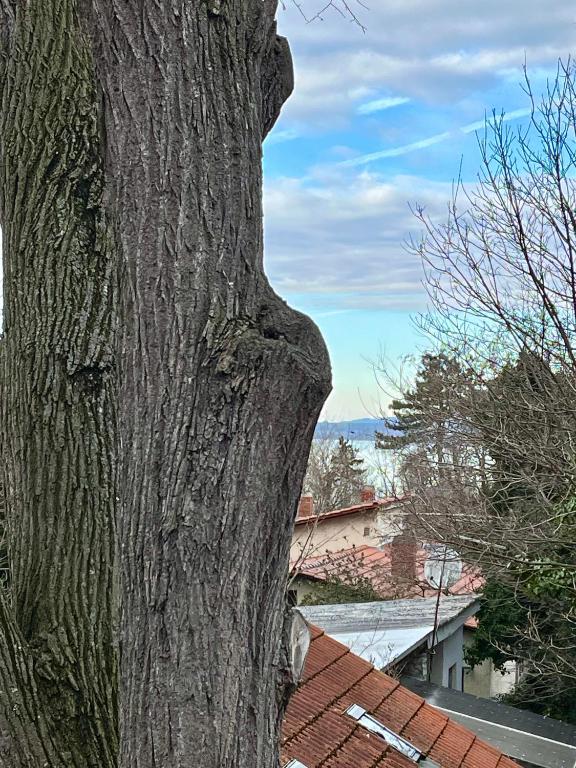 Zdjęcie z galerii obiektu Klára Villa w mieście Balatonboglár