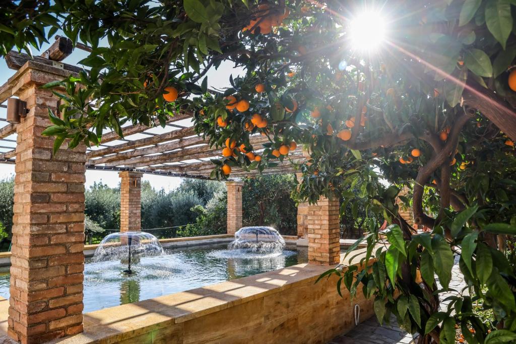 un albero di arancio di fronte alla piscina di Archontiko Frideriki Luxury Apartments a Chio (Chios)