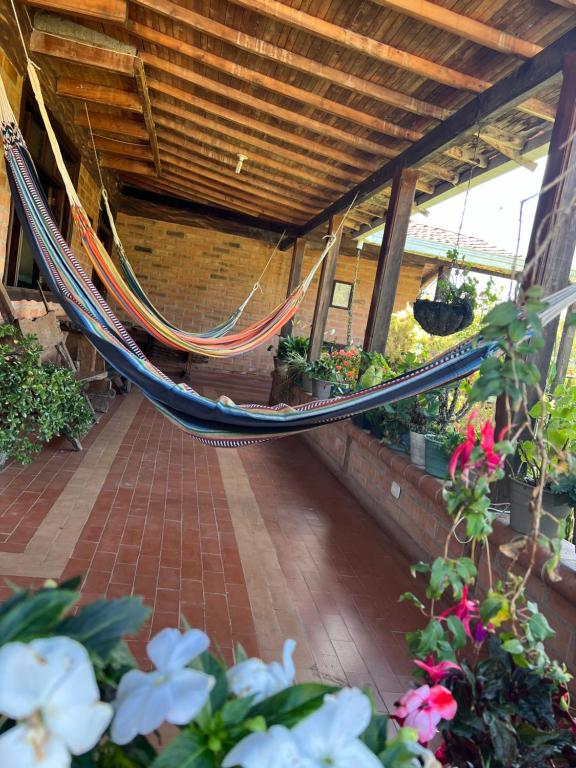 Zahrada ubytování Finca Hotel Paraiso Urrao