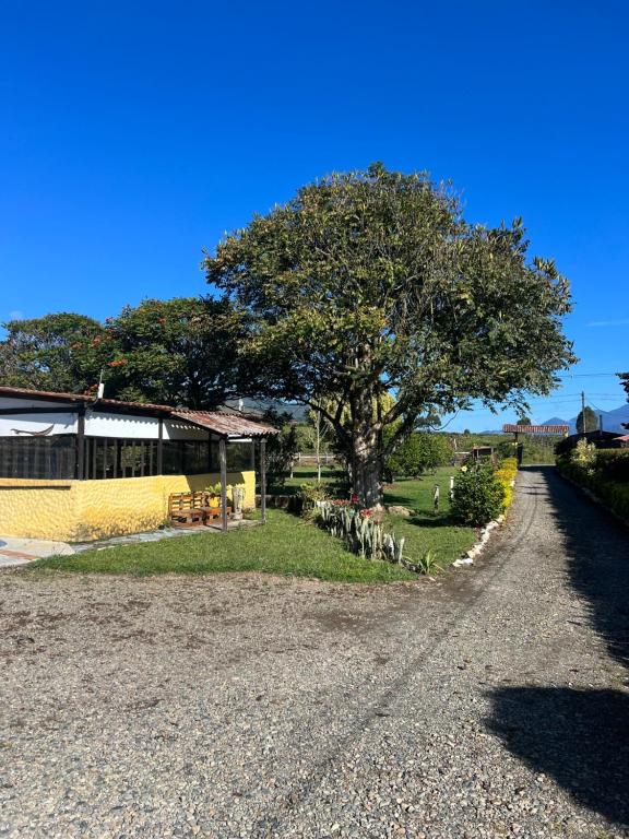 Zahrada ubytování Finca Hotel Paraiso Urrao