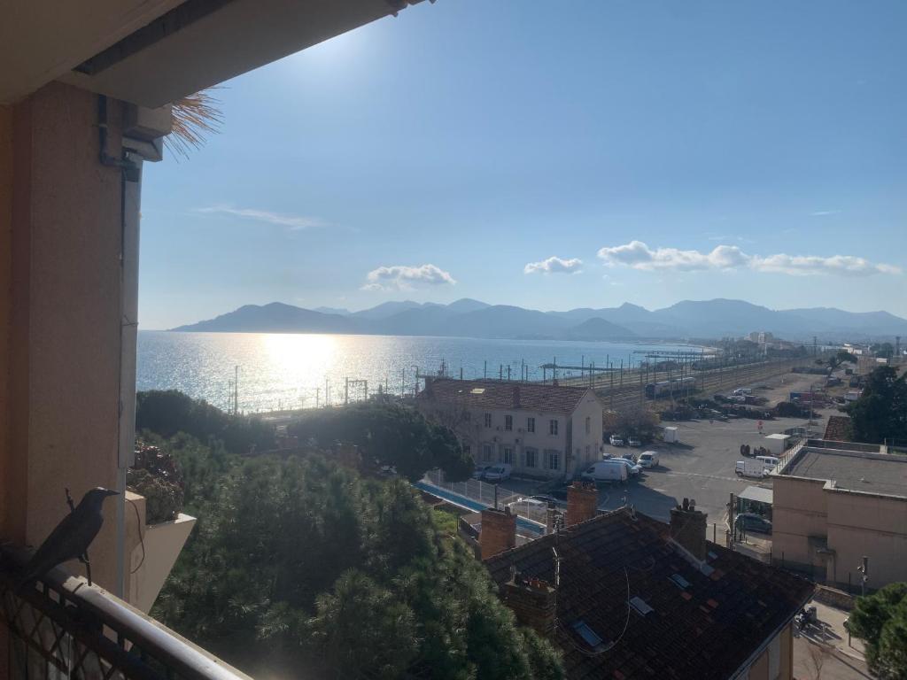 une vue sur l'océan depuis un balcon dans l'établissement Bord de mer et commerces 588, à Cannes