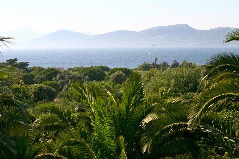 - une vue sur l'océan depuis une forêt plantée de palmiers dans l'établissement La Guetteuse, à Hyères