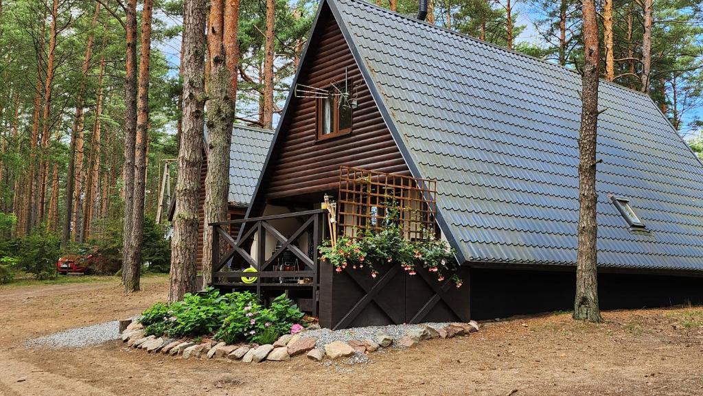 une petite maison avec un toit noir dans les bois dans l'établissement Jak Tu Sielsko, à Osiek