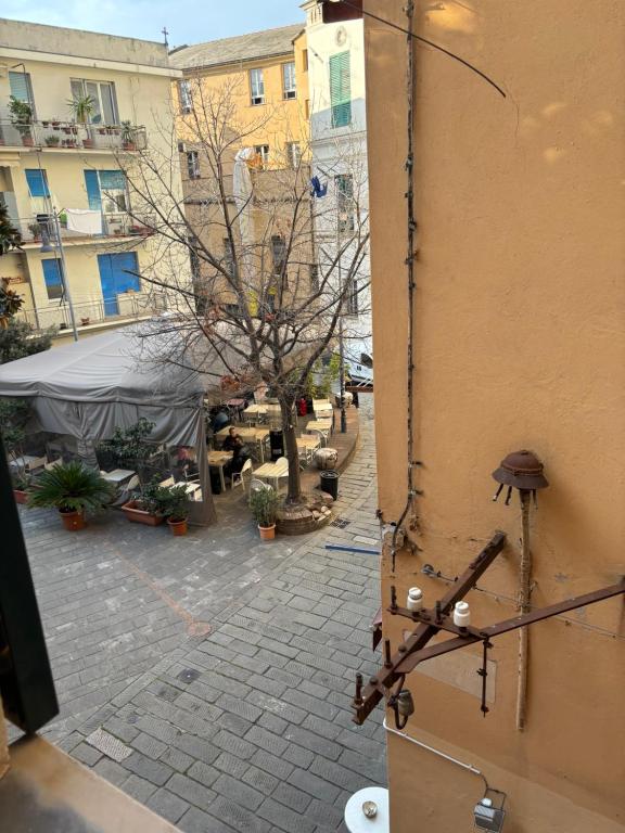 La casa di Ginger - Housity