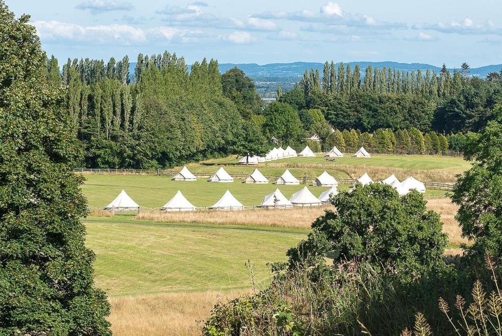 a group of tents in a field with trees at Daycote View 