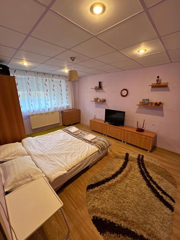 - une chambre avec un lit et une télévision dans l'établissement SinaiaGateway, à Sinaia