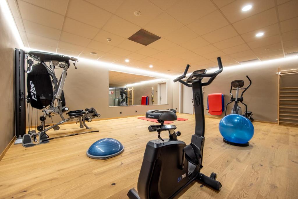 Fitness centrum a/nebo fitness zařízení v ubytování SWISSPEAK Resorts Vercorin