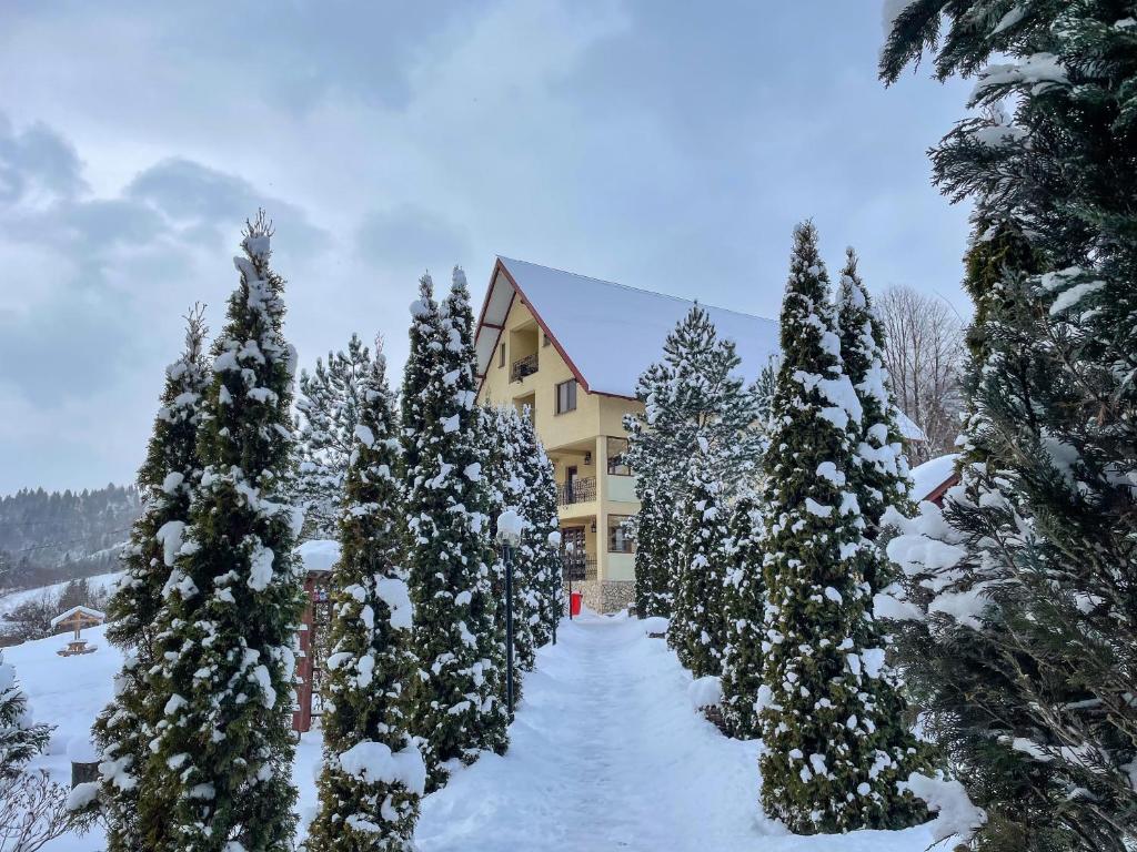 バマにあるPension Casa Veroの雪の木々に囲まれた建物