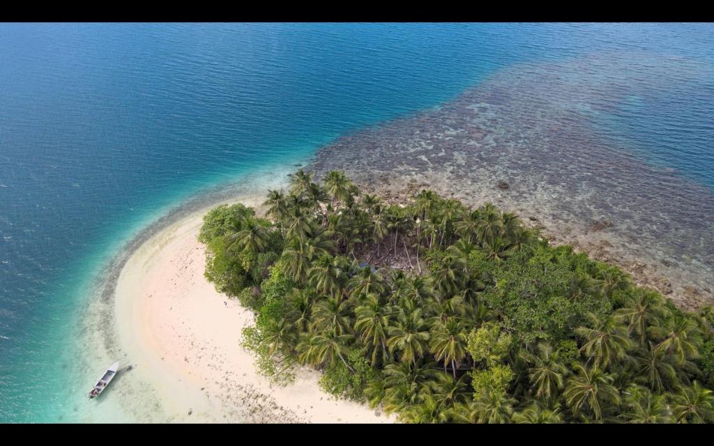 an island in the ocean with palm trees and water at welcome to putuo ecolodge hidden germ of Solomon 