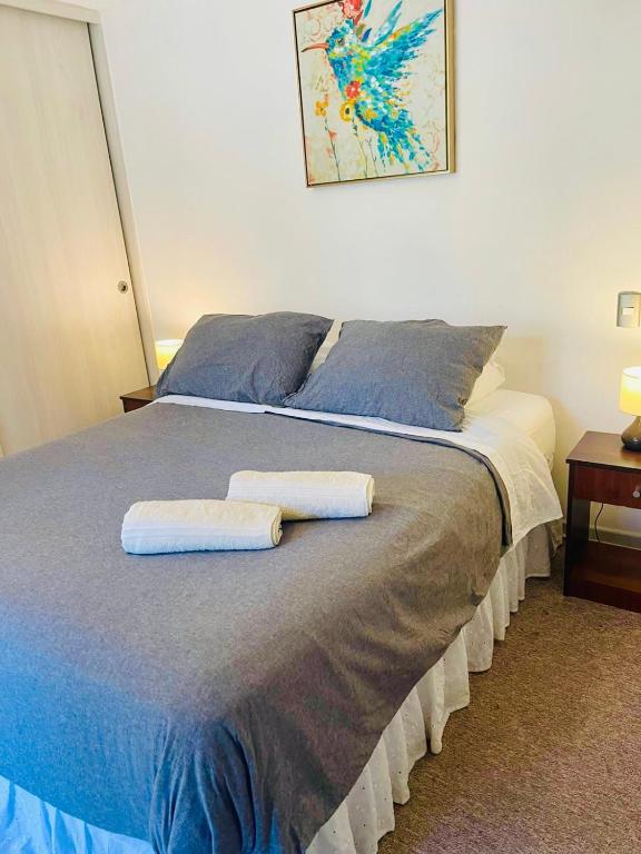 Apartamentos Alma Surire