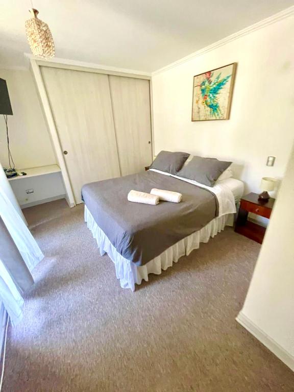 Apartamentos Alma Surire