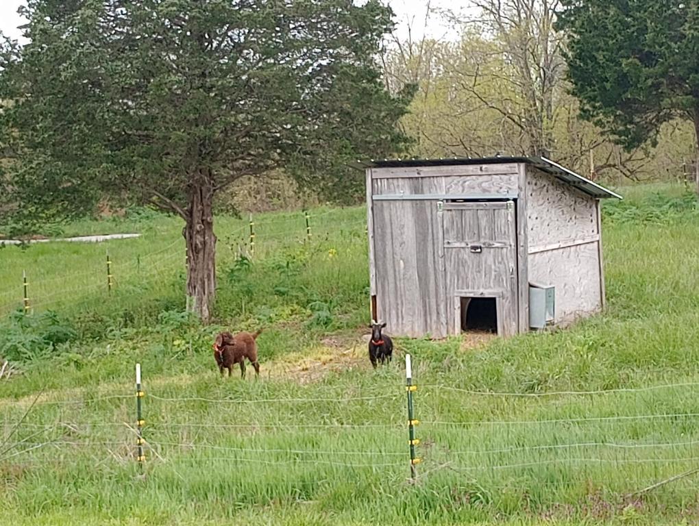 Hayes Acres - Housity