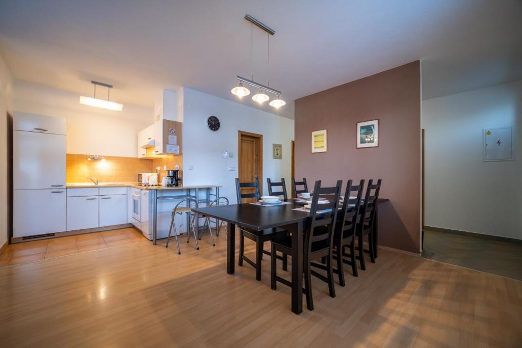 Kuchyň nebo kuchyňský kout v ubytování Apartment Riviera 500-15 Lipno Home