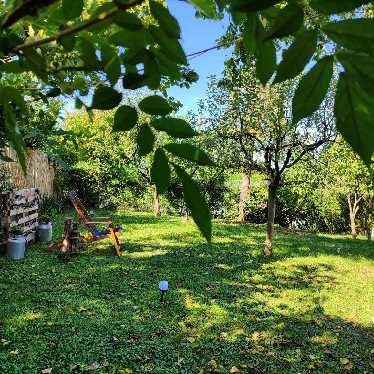 Zahrada ubytování Mitrovića kuća