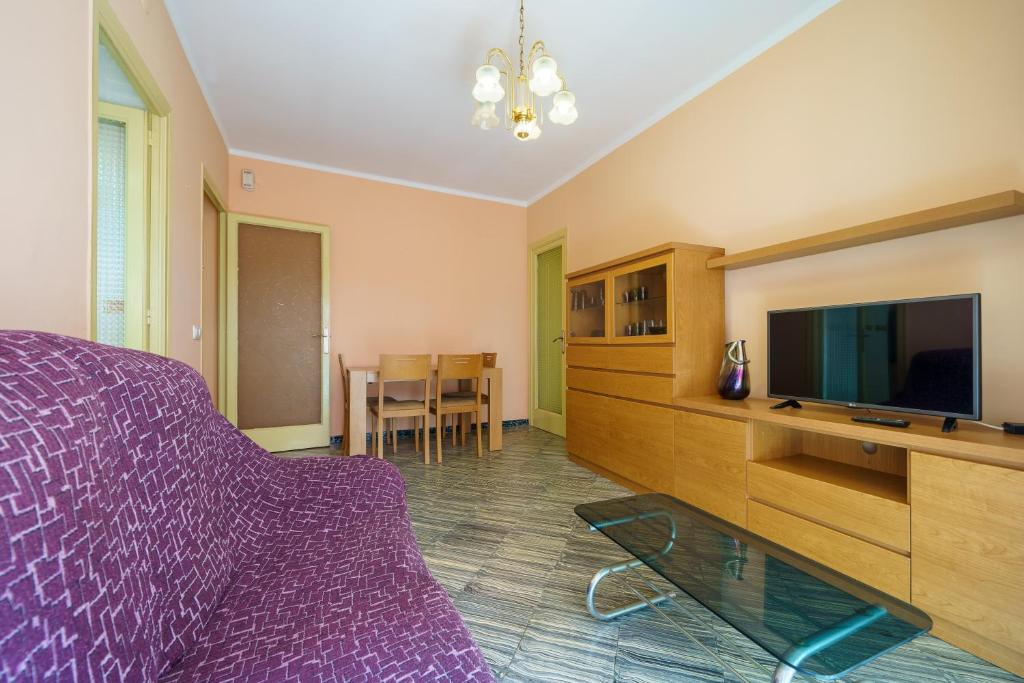 TV a/nebo společenská místnost v ubytování HomeHolidaysRentals Pineda II