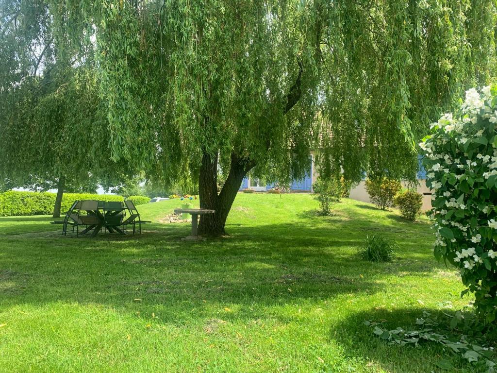 a picnic table under a tree in a park at Le Bleu de B. in Saint-Étienne-en-Bresse