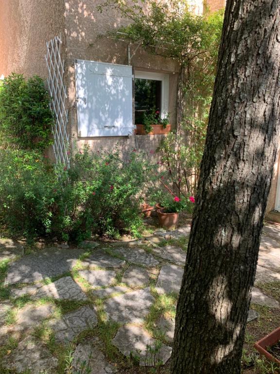 - une fenêtre dans un bâtiment avec des fleurs dans une cour dans l'établissement Charmante villa au calme entre mer et Cévennes Animaux de compagnie acceptés, à Saint-Gély-du-Fesc