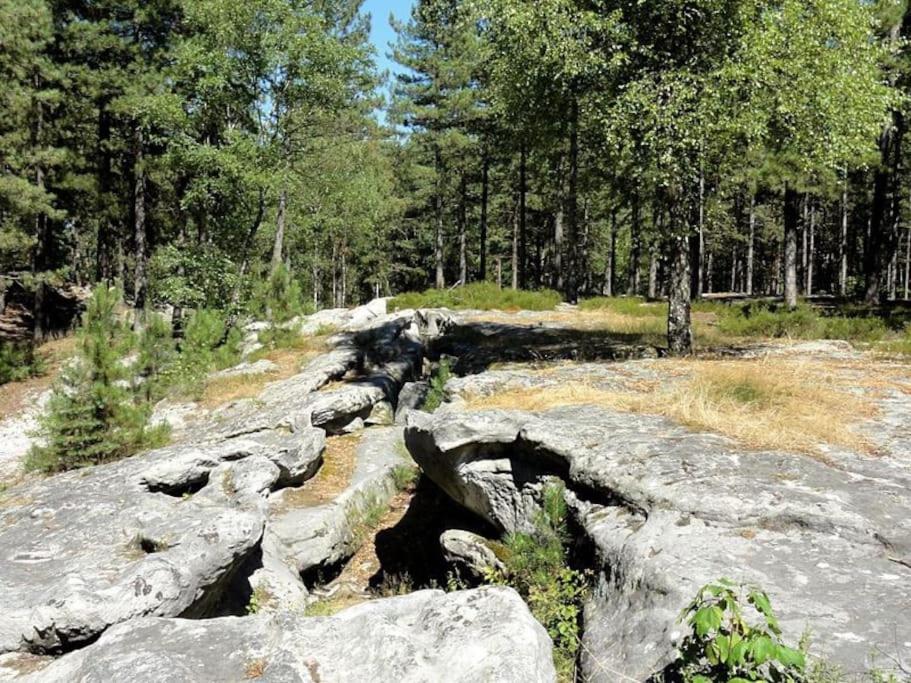 a group of large rocks in a forest at “Chez Mily“ Joli petit duplex plein centre Villers Cotteret in Villers-Cotterêts