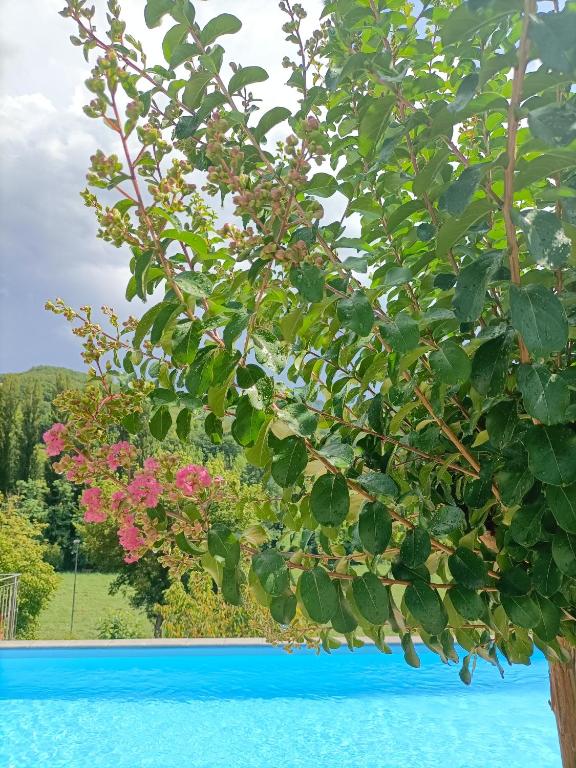 Bazén v ubytování B&B VILLA GINEVRA nebo v jeho okolí