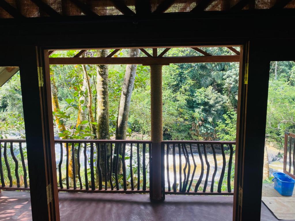 The Rainforest Hideaway - 13