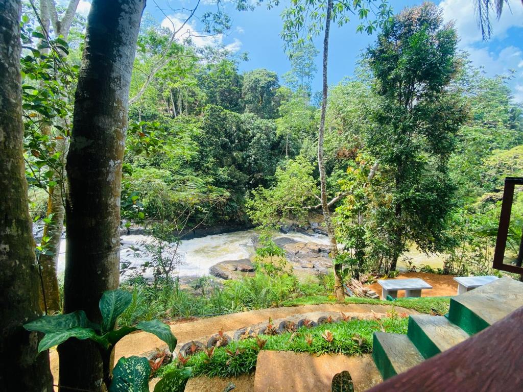 The Rainforest Hideaway - 8