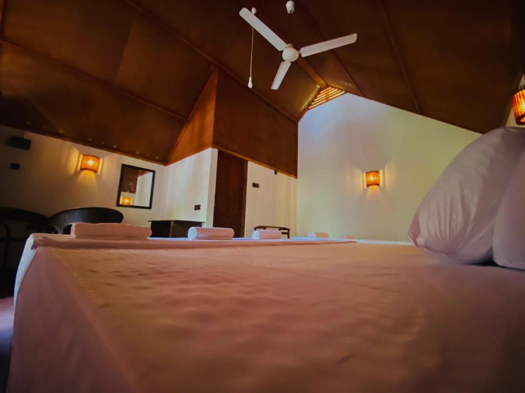 The Rainforest Hideaway - 7