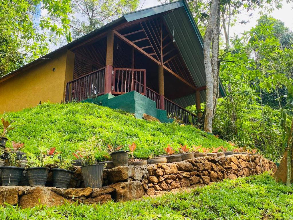 The Rainforest Hideaway - 6