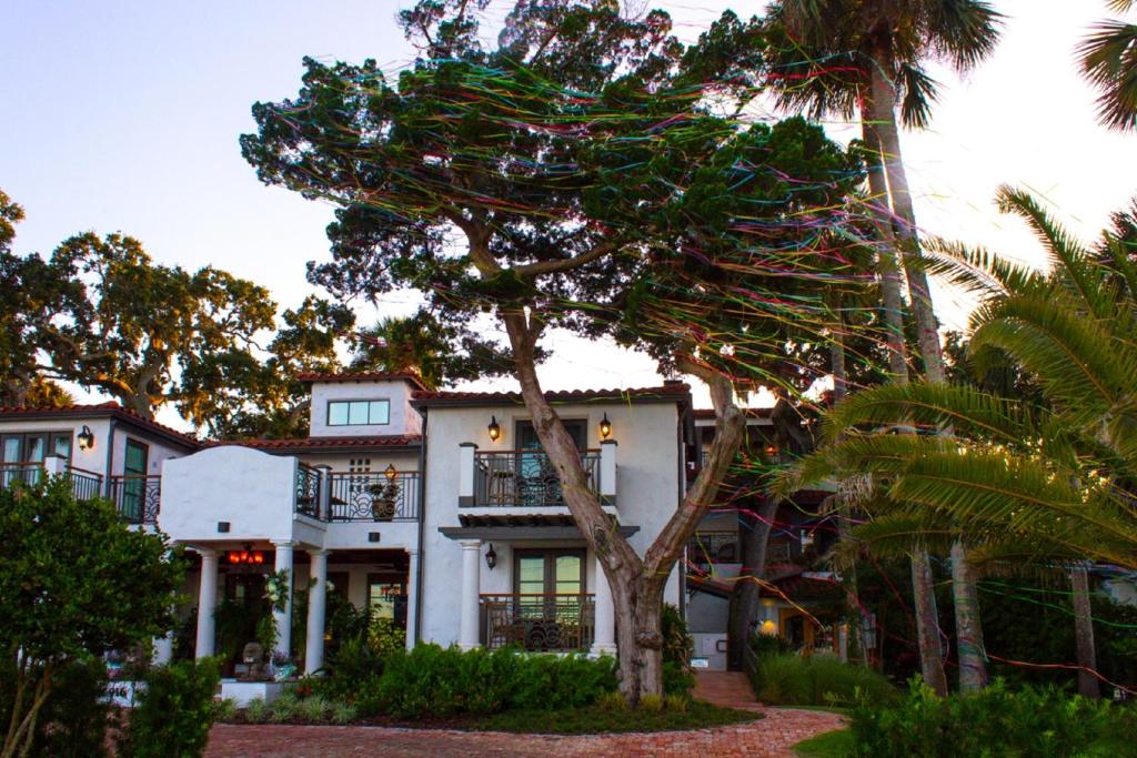 Giardino di Black Dolphin Inn