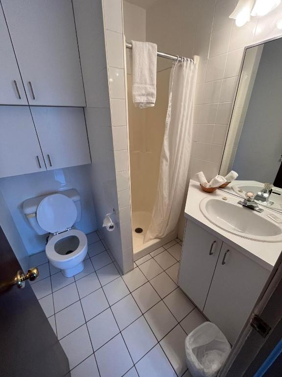 a bathroom with a toilet and a sink and a shower at Auberge le Parasol in Saguenay