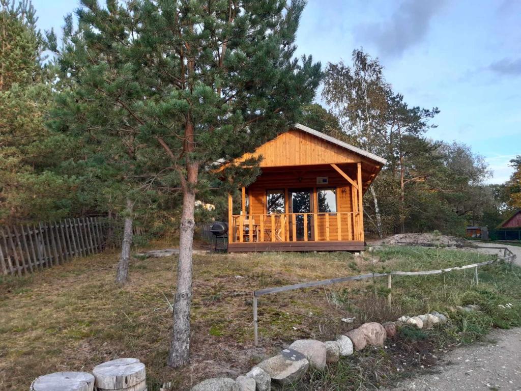 Zahrada ubytování Treimani Hoovimaja