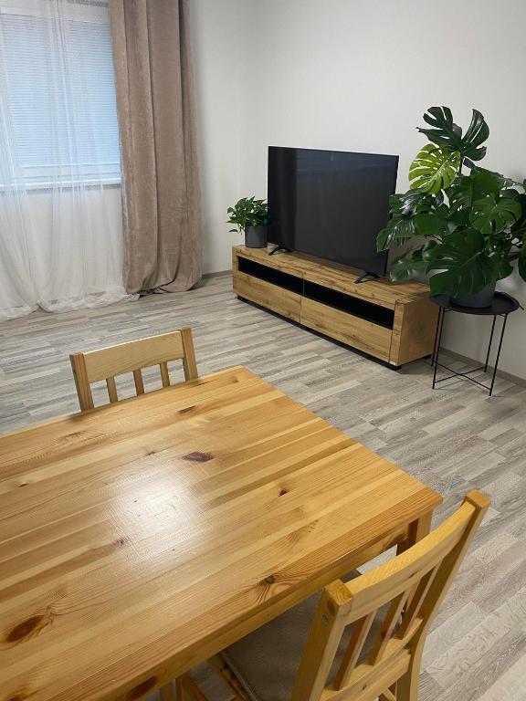 TV a/nebo společenská místnost v ubytování Apartmány Hodonín