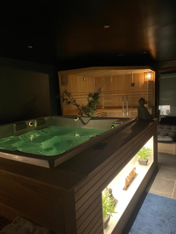 a jacuzzi tub in the middle of a room at Linfinity in Baillonville