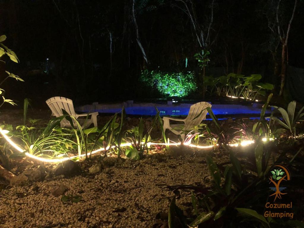 dos sillas y una piscina por la noche con luces en Cozumel Glamping, en Cozumel