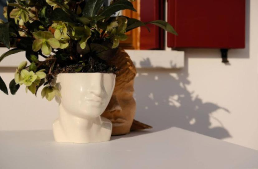 une plante dans un vase blanc sur une table dans l'établissement Residence19ilborgo, à Asolo