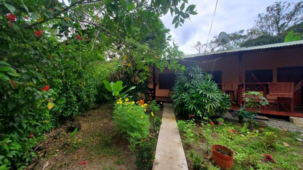 een tuin met een loopbrug voor een gebouw bij CASA VERO CAHUITA, A 100 M. DEL PARQUE NACIONAL in Cahuita