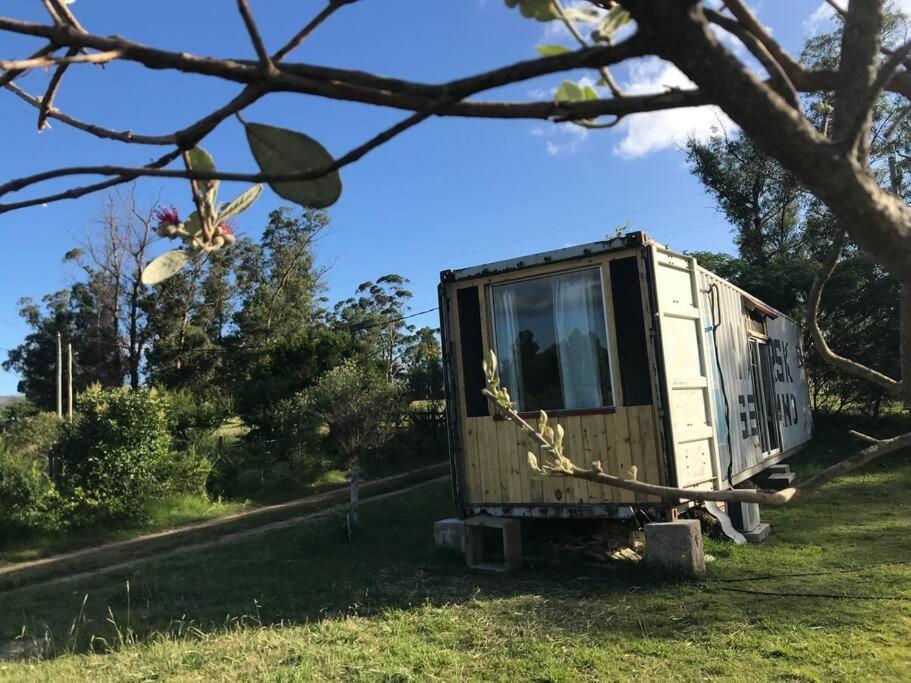 ein winziges Haus, das auf einem Feld im Gras sitzt in der Unterkunft Glamping in Uruguay’s hidden gem in Piriápolis
