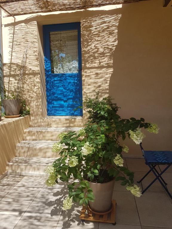 a plant in front of a house with a blue door at La Colline Bleue in Banne