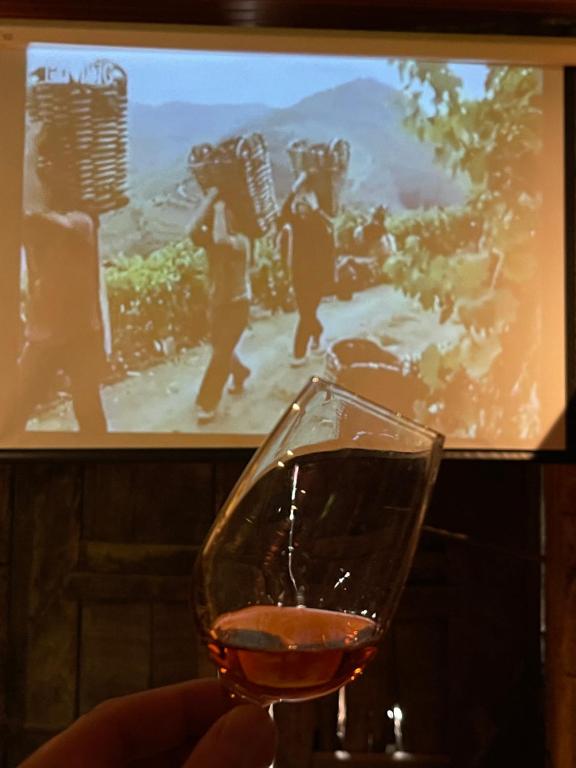 eine Person, die ein Glas Wein vor einem Gemälde hält in der Unterkunft Casa dos Barros Winery Lodge by Vintage Theory in Sabrosa