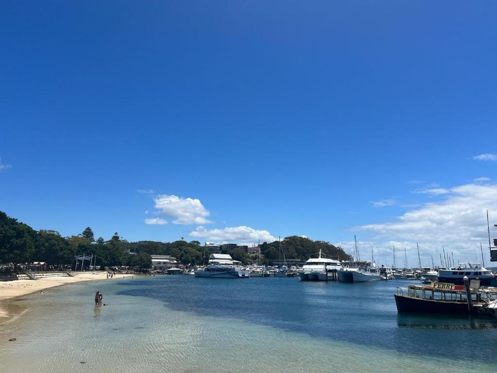 a group of boats docked in a marina at Foreshore Paradise Nelson Bay in Nelson Bay