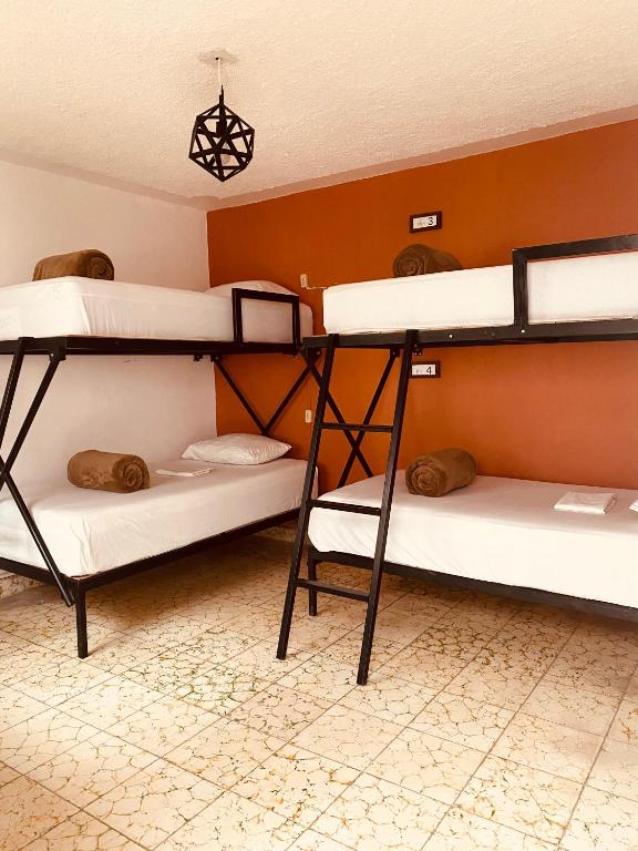 Palanda nebo palandy na pokoji v ubytování Lool Beh Hostal