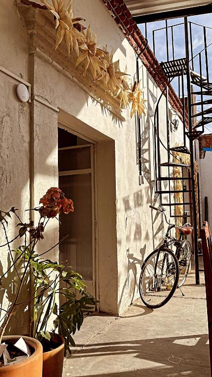 Xitla Hostel