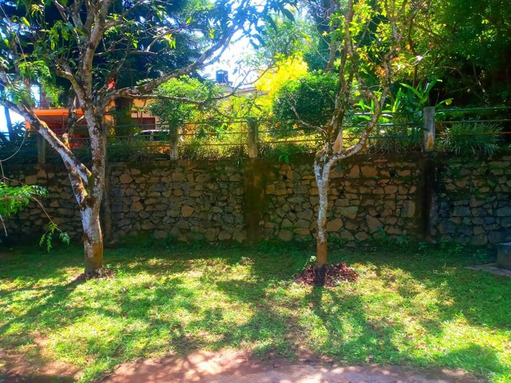 two trees in a yard next to a stone wall at Galkotuwa Estate in Gelioya