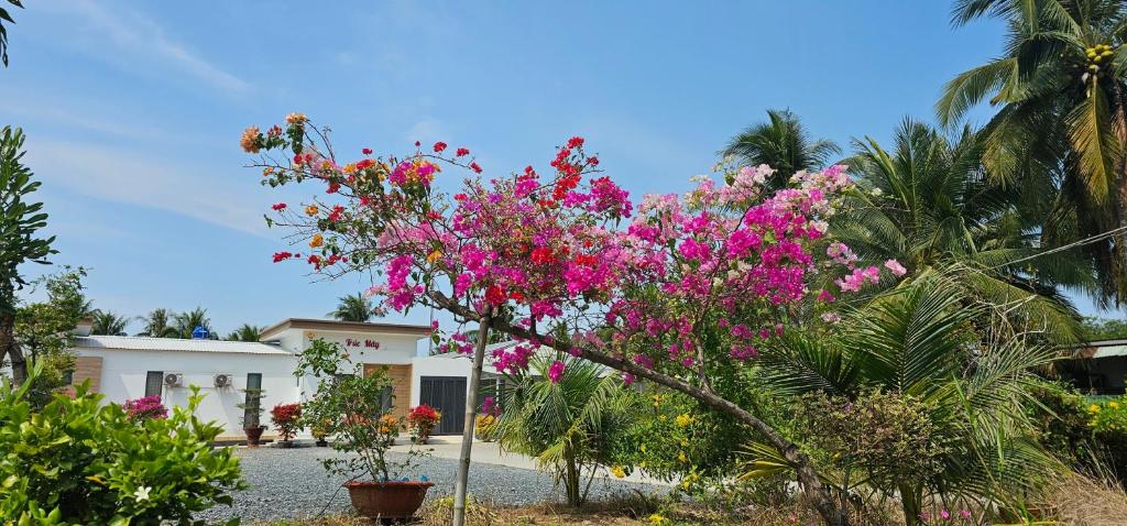 a tree with pink flowers in front of a house at Nhà nghỉ Trúc Mây in Ben Tre