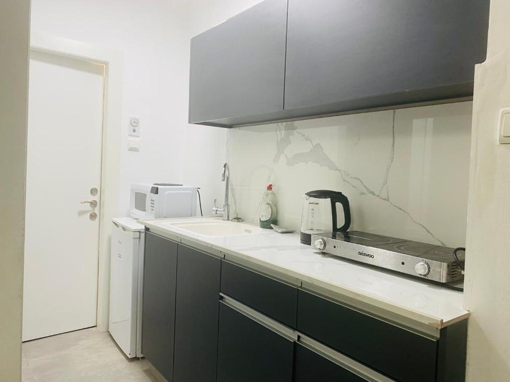 Η κουζίνα ή μικρή κουζίνα στο Apartment front the beach