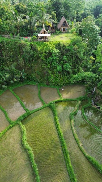 Paisaje cerca de esta habitación en casa particular