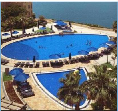 einen großen Pool mit Palmen und dem Meer in der Unterkunft Comfy Stays Sea View Apartments at DeadSea Samarah Resort in Sowayma