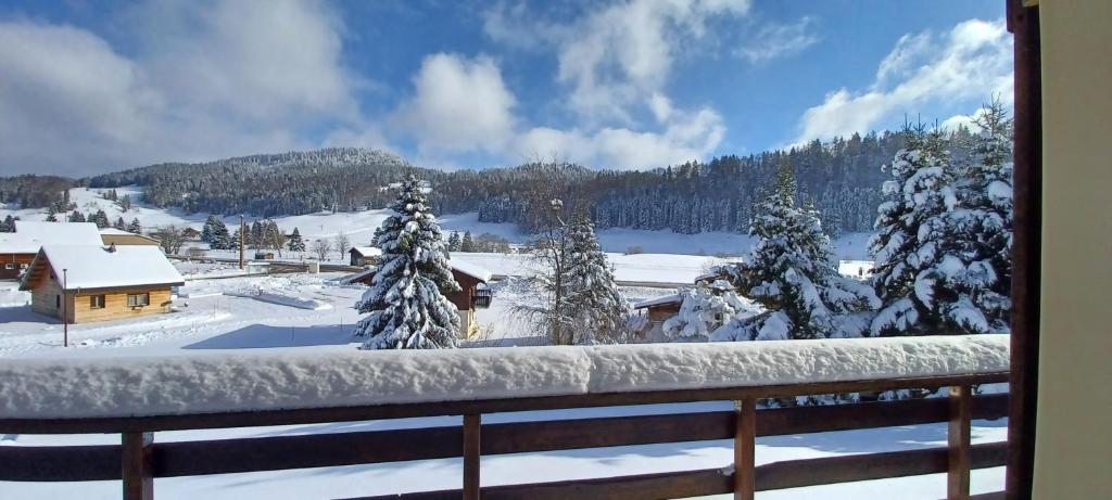 a winter view from a balcony with snow covered trees at Appartement Daniel in Lamoura