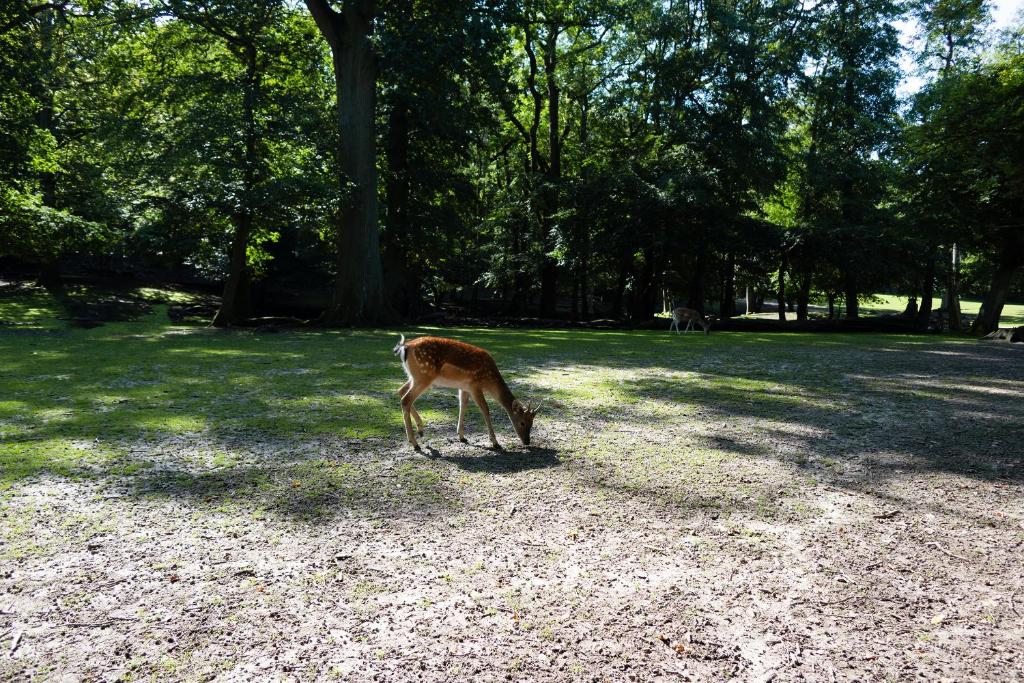 Helnan Marselis Hotel - Resim 23