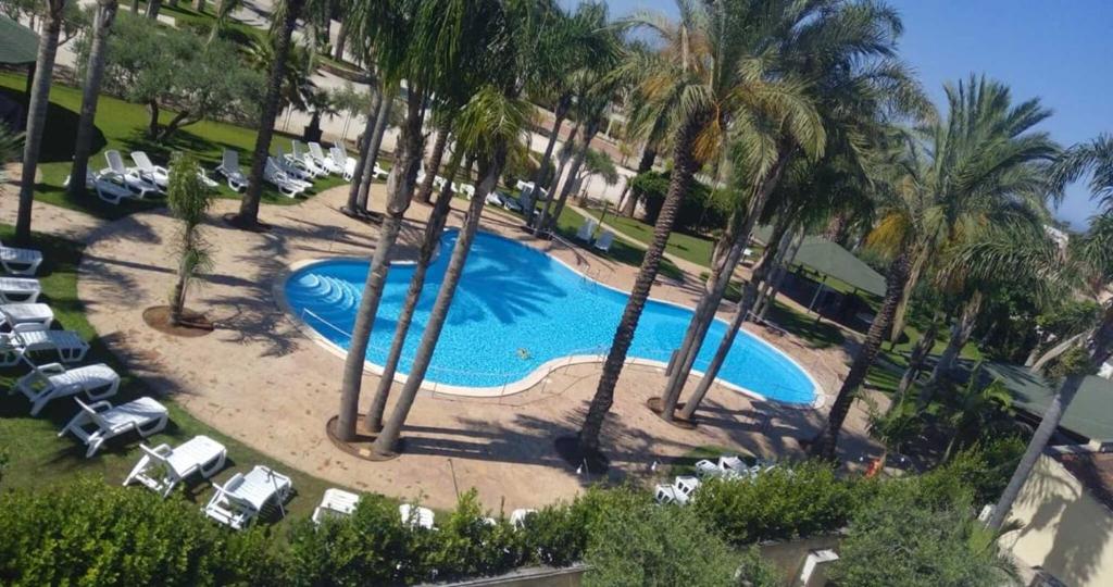 an overhead view of a swimming pool with palm trees at Oasi Lamia in Mazara del Vallo